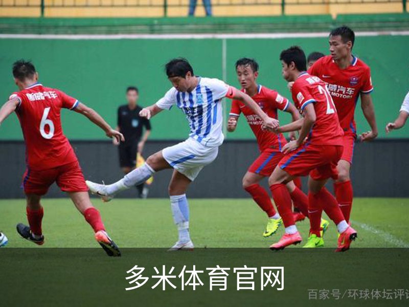 多米体育官网介绍
